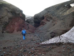 Besk i "Red Canyon"